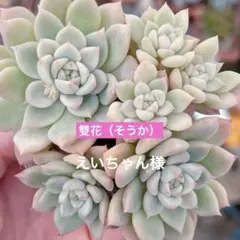 えいちゃん様 リクエスト 2点 まとめ商品