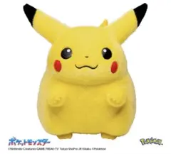 ポケットモンスター ポケモン30周年記念 おかえり！ピカチュウ1/1