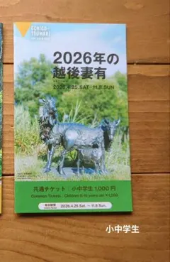 大地の芸術祭チケット　小中学生用