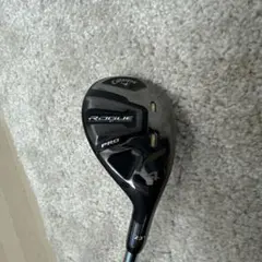2026年最新】rogue st pro ユーティリティの人気アイテム - メルカリ