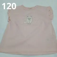 新品＊petit main　プティマイン　猫　半袖　Tシャツ　袖　フリルのサムネイル