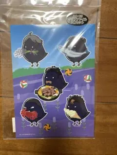 ハイキュー北海道限定クリアファイル