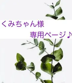 くみちゃんさま専用ページ