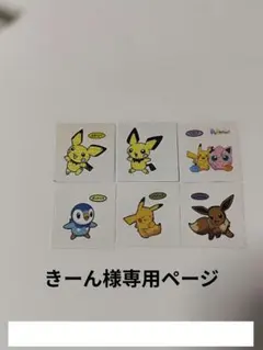 きーん様専用　ポケモンデコキャラシール