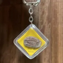 Item thumbnail for item 0a24287f-2537-4284-8568-28990421723c