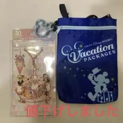東京ディズニーリゾート バケーションパッケージ限定　バックチャーム　サコッシュ付