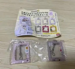 【匿名配送】 たまごクラブひよこクラブのだれでもアクリルチャーム