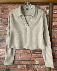 4XL リブ編みベージュクロップドセーター セットアップトップス 長袖カットソー