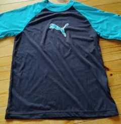 PUMA ラグラン Tシャツ 黒/ターコイズ