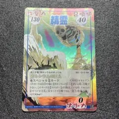 超占事略決　スペシャルカード 2025年最新】シャーマンキング超占事略決の人気アイテム - メルカリ