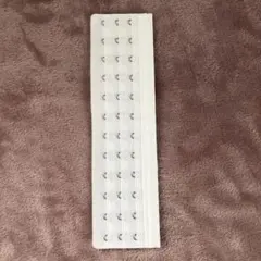 Item thumbnail for item 8d860a6e-3ad8-485a-95b9-d453c98e7602