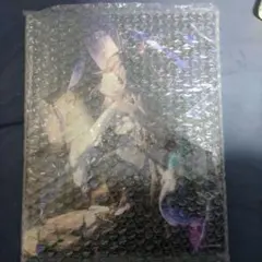 崩壊:スターレイル マダムヘルタ キャンバスボード Loppi HMV