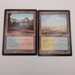 MTG アダーカー荒原 4枚 - メルカリ