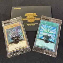 2026年最新】wcs2019 未開封の人気アイテム - メルカリ