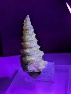 ケースあり段ボール発送　アクアン様専用