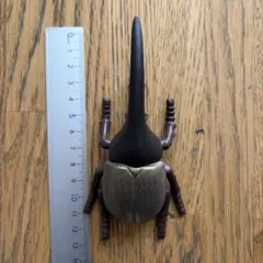 ヘラクレスオオカブト フィギュア ガチャガチャ