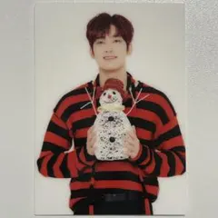 SEVENTEEN セブチカフェ EC ウォヌ トレカ