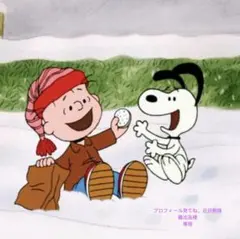 プロフィール見てね。近日断捨離出品様 リクエスト 2点 まとめ商品