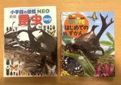 ✴︎小学館の図鑑NEO昆虫　DVDつき　✴︎はじめてのずかん　こんちゅう　DVDつき