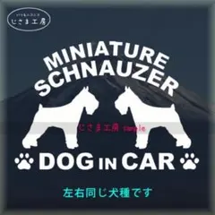 Item thumbnail for item 74939982-bf45-4054-8741-a8d67ad47127