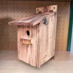 Item thumbnail for item f80ff0d9-9ab7-41ad-9e5e-52b7bca1b6d7