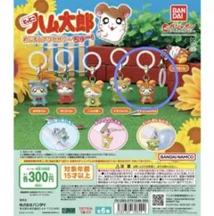 とっとこハム太郎 めじるしアクセサリー ちゅー！ トラハムちゃん