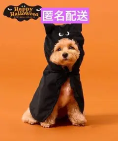 ① ペット用コウモリケープ コウモリ ケープ ペット ハロウィン スリーコインズ
