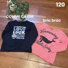 【まとめ売り】ロンT 120