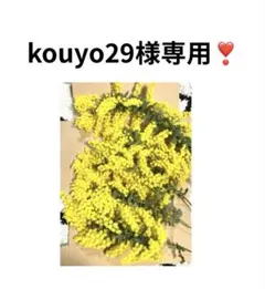 kouyo29様 リクエスト 4点 まとめ商品