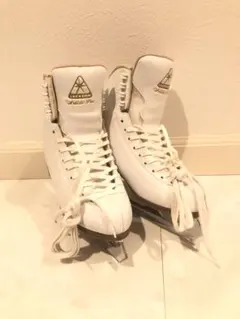 Item thumbnail for item d4138057-fd29-4238-95b6-c2e129cd8e31