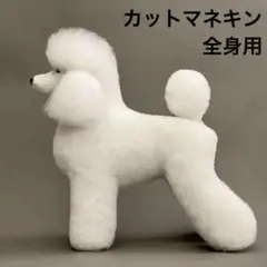2026年最新】トリミング練習用 ウィッグの人気アイテム - メルカリ