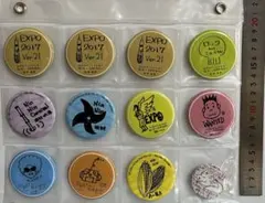 スピッツ 缶バッジ12個セット ロックロックこんにちは！