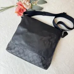 ポムデイジー様　COACH コーチ ショルダーバッグ レザー　PVC 黒