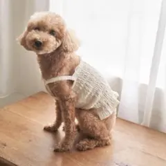 ROPE' PICNIC，ロぺピクニック　犬服のサムネイル