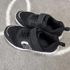 Item thumbnail for item a790a88d-9c73-40e2-ba46-66e47c26a3d6