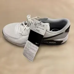 左足のみ　ナイキ エア マックス エクシー 27.5cm FN7304 NIKE