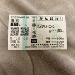 天皇賞秋　タスティエーラ　現地応援馬券