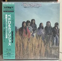 PEDRO アナログ版 レコード　新品未使用 2025年最新】pedro レコードの人気アイテム - メルカリ