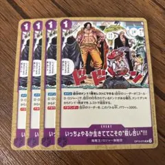 picklemeistr様 リクエスト 2点 まとめ商品