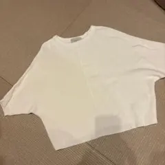 Item thumbnail for item be29d7f2-bd4a-430e-bb24-c6344d5d6a30