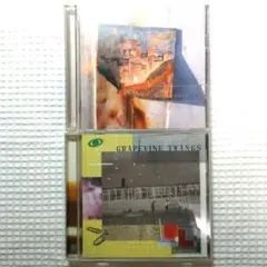 2026年最新】真昼のストレンジランドの人気アイテム - メルカリ