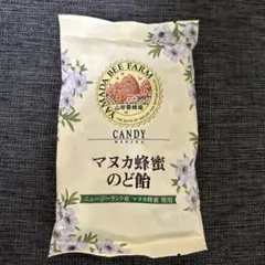【未開封】　　山田養蜂場 マヌカ蜂蜜のど飴 100gのサムネイル
