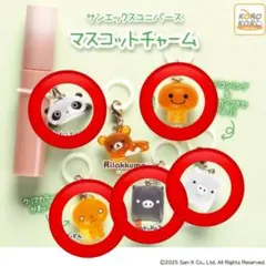 サンエックスユニバース　マスコットチャーム　5種セット