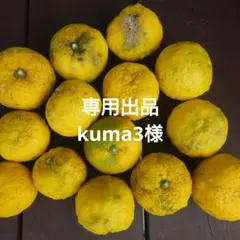 専用出品 kuma3様
