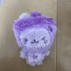 NCT WISH WISH DOLL ユウシ バブルニャン 紫