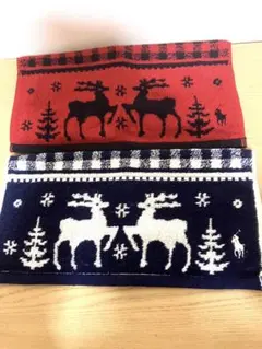 【新品未使用】ラルフローレン ハンドタオル2枚セット【送料込】