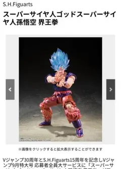 スーパーサイヤ人ゴッドスーパーサイヤ人孫悟空 界王拳