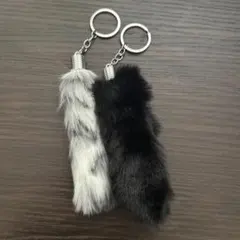 Item thumbnail for item d2dfa227-0765-4e5c-96c1-23fa3cddf1e5