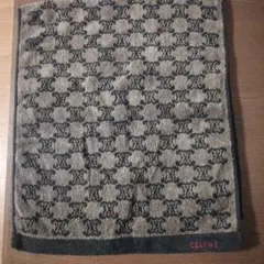 Item thumbnail for item b3aa2f03-a5c1-4b4b-9a0c-77b1d9fee55a