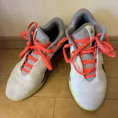 NIKE バッシュ　レブロン22
